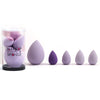 MAKEUP SPONGE AND BLENDER SET (5Pcs)